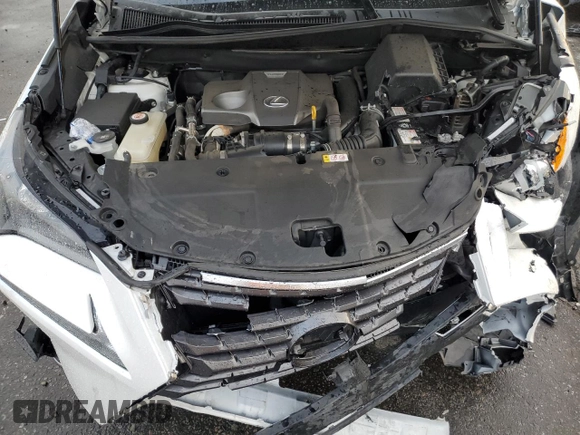 2020 Lexus NX 300 z VIN JTJAARBZ7L5019294, wystawiony jako Copart lot #44315545 z przebiegiem 43 838 mil mil oraz Szkoda całkowita • Salvage title. Historia ofert i sprzedaży dostępna na DreamBid. Obrazek 14.