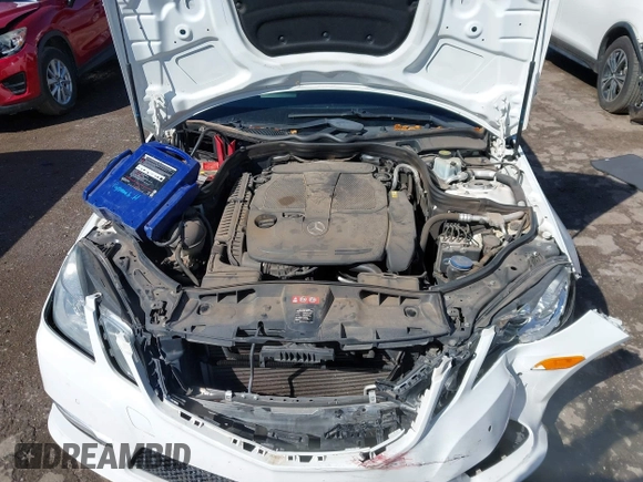 2013 Mercedes-Benz E 350 Luxury with VIN WDDHF5KB1DA732544, listed as a IAAI auction lot 41670435 with 125,517 mi miles and . Bid and sale history available at DreamBid. Image 10.
