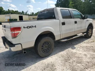 2011 Ford F-150 XL with VIN 1FTFW1EF7BFC37502, listed as a Copart auction lot 64830405 with 300,481 mi miles and Clean title. Bid and sale history available at DreamBid. Image 3.