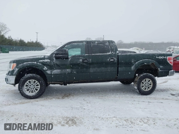 2013 Ford F-150 with VIN 1FTVW1EF4DKE07465, listed as a IAAI auction lot 41601235 with 131,721 mi miles and . Bid and sale history available at DreamBid. Image 14.
