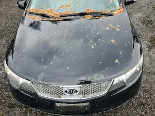 2010 Kia Forte EX z VIN KNAFU4A24A5251210, wystawiony jako Copart lot #57707605 z przebiegiem 165 166 mil mil oraz Czysty tytuł • Clean title. Historia ofert i sprzedaży dostępna na DreamBid. Obrazek 11.