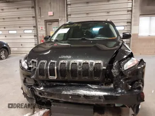 2014 Jeep Cherokee Limited with VIN 1C4PJMDS2EW202518, listed as a IAAI auction lot 41911156 with 119,533 mi miles. Bid and sale history available at carsss.com. Image 12.