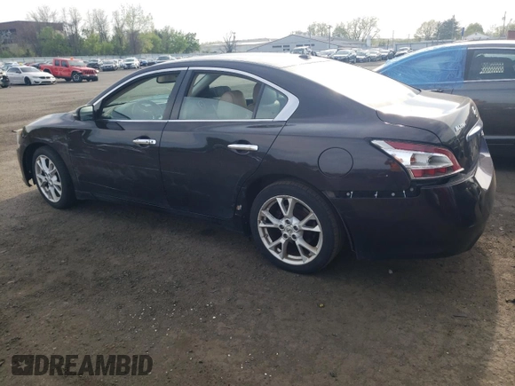 2013 Nissan Maxima SV with VIN 1N4AA5AP8DC820217, listed as a Copart auction lot 54368745 with 169,921 mi miles and Salvage Title. Bid and sale history available at DreamBid. Image 2.