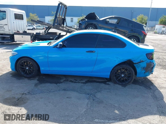 2016 BMW 2 Series 228i with VIN WBA1F9C58GV545467, listed as a IAAI auction lot 41784660 with 163,389 mi miles and . Bid and sale history available at DreamBid. Image 14.