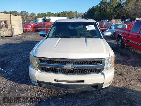 2009 Chevrolet Silverado 1500 with VIN 3GCEC33J49G178179, listed as a IAAI auction lot 41810627 with 205,823 mi miles and . Bid and sale history available at DreamBid. Image 12.