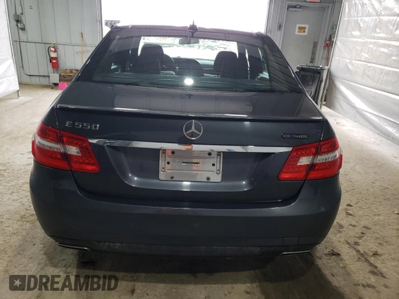 2011 Mercedes-Benz E 550 Luxury with VIN WDDHF7CB0BA347662, listed as a Copart auction lot 49585315 with 170,155 mi miles and Salvage Title. Bid and sale history available at DreamBid. Image 6.