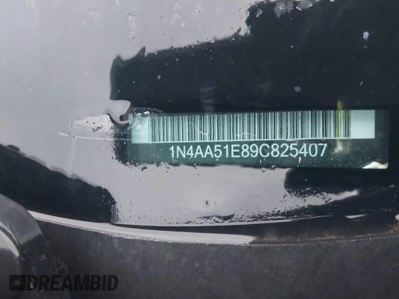 2009 Nissan Maxima SV with VIN 1N4AA51E89C825407, listed as a IAAI auction lot 41865529 with Not Provided miles and . Bid and sale history available at DreamBid. Image 11.