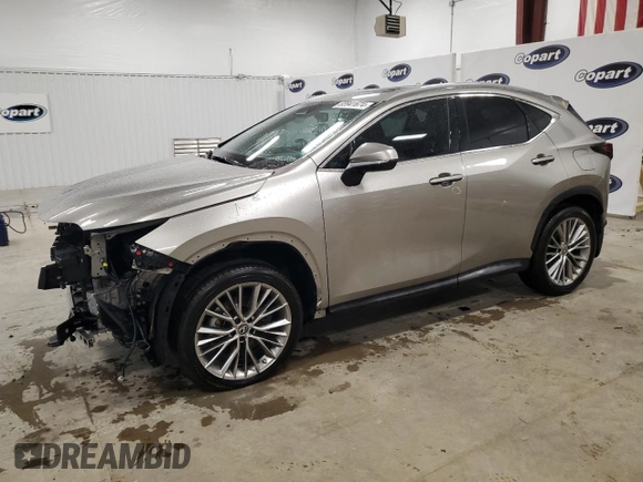 2022 Lexus NX with VIN 2T2GKCEZ7NC007876, listed as a Copart auction lot 83941674 with 36,631 mi miles and Salvage Title. Bid and sale history available at carsss.com. Image 1.