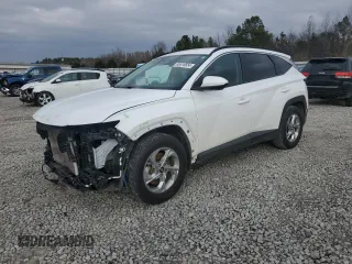 2024 Hyundai Tucson SEL with VIN 5NMJB3DE2RH301307, listed as a Copart auction lot 85516654 with 30,333 mi miles and Salvage Title. Bid and sale history available at carsss.com. Image 1.