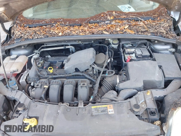 2013 Ford Focus SE with VIN 1FADP3K2XDL265306, listed as a IAAI auction lot 42029295 with 84,076 mi miles. Bid and sale history available at carsss.com. Image 10.