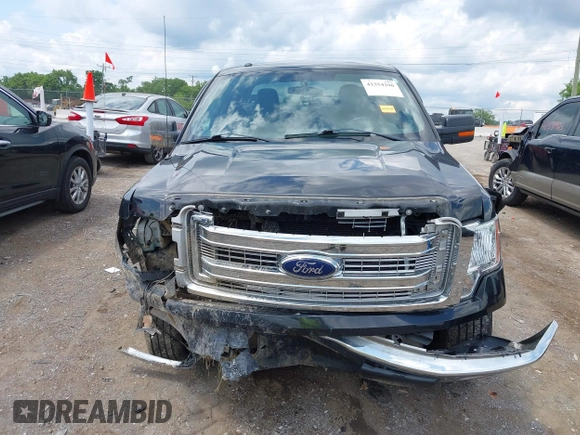 2013 Ford F-150 XL with VIN 1FTFW1EF5DFB95804, listed as a IAAI auction lot 42354290 with 115,206 mi miles and . Bid and sale history available at DreamBid. Image 6.