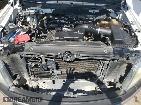 2011 Ford F-150 XL with VIN 1FTEW1CM2BFD34443, listed as a Copart auction lot 64940495 with 305,412 mi miles and Clean title. Bid and sale history available at DreamBid. Image 11.
