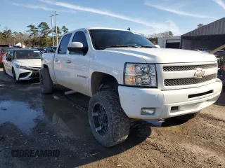 2009 Chevrolet Silverado 1500 LT with VIN 3GCEK23329G215535, listed as a Copart auction lot 46051705 with 173,940 mi miles and Salvage Title. Bid and sale history available at DreamBid. Image 4.