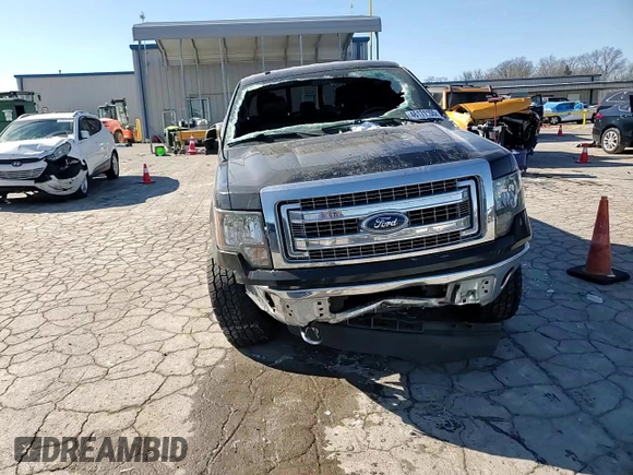 2013 Ford F-150 XL with VIN 1FTFW1EF9DKG29309, listed as a Copart auction lot 46171155 with 136,283 mi miles and Salvage title. Bid and sale history available at DreamBid. Image 14.