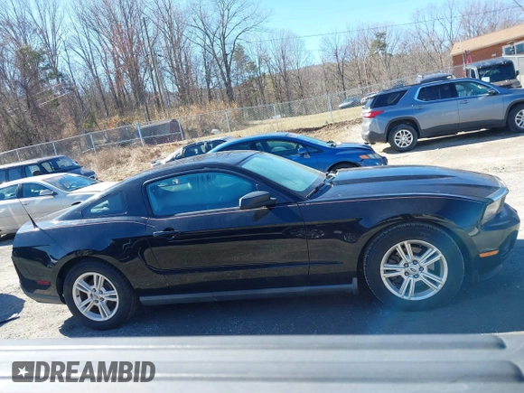 2011 Ford Mustang V6 with VIN 1ZVBP8AM2B5153163, listed as a IAAI auction lot 41645917 with 286,609 mi miles and . Bid and sale history available at carsss.com. Image 14.
