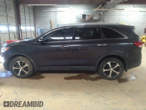 2016 Kia Sorento EX with VIN 5XYPH4A11GG147552, listed as a IAAI auction lot 41984320 with 106,494 mi miles. Bid and sale history available at carsss.com. Image 13.