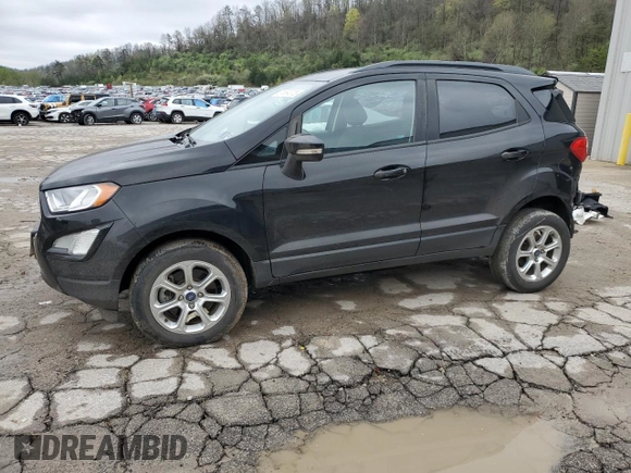2019 Ford EcoSport SE z VIN MAJ6S3GL1KC279035, wystawiony jako Copart lot #51994075 z przebiegiem 44 566 mil mil oraz Szkoda całkowita • Salvage title. Historia ofert i sprzedaży dostępna na DreamBid. Obrazek 1.