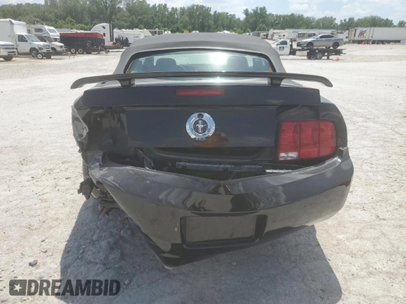 2005 Ford Mustang Deluxe with VIN 1ZVFT84N655254096, listed as a Copart auction lot 62481145 with 113,078 mi miles and Salvage title. Bid and sale history available at DreamBid. Image 6.