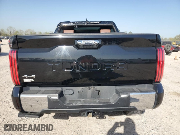 2022 Toyota Tundra 1794 Edition with VIN 5TFMA5DB2NX033703, listed as a Copart auction lot 47841975 with 48,755 mi miles and Salvage title. Bid and sale history available at DreamBid. Image 6.
