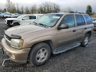 2002 Chevrolet TrailBlazer LTZ with VIN 1GNDT13S922434038, listed as a Copart auction lot 48285195 with Not Provided miles and Salvage Title. Bid and sale history available at DreamBid. Image 1.