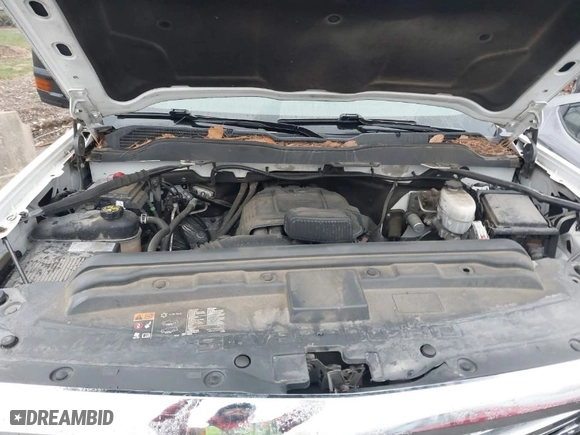 2019 Chevrolet Silverado 2500HD Work Truck with VIN 2GC2CREGXK1137979, listed as a IAAI auction lot 38536415 with 117,068 mi miles. Bid and sale history available at carsss.com. Image 10.