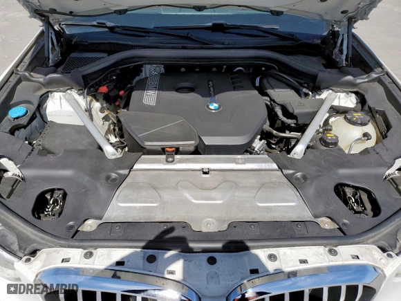 2019 BMW X3 xDrive30i with VIN 5UXTR9C59KLP84208, listed as a Copart auction lot 49523445 with 117,373 mi miles and Salvage Title. Bid and sale history available at carsss.com. Image 12.