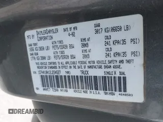 2002 Dodge 1500 z VIN 1D7HA18N12J234527, wystawiony jako IAAI lot #42144988 z przebiegiem 232 936 mil mil oraz . Historia ofert i sprzedaży dostępna na DreamBid. Obrazek 9.