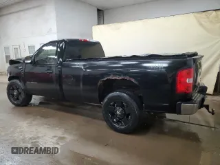 2013 Chevrolet Silverado 1500 Work Truck with VIN 1GCNCPEX5DZ297912, listed as a Copart auction lot 52031505 with 160,322 mi miles and Clean Title. Bid and sale history available at DreamBid. Image 2.