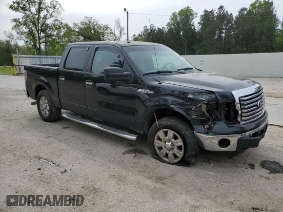 2010 Ford F-150 XL with VIN 1FTEW1C88AFC56624, listed as a Copart auction lot 50648135 with 228,961 mi miles and Salvage Title. Bid and sale history available at carsss.com. Image 4.
