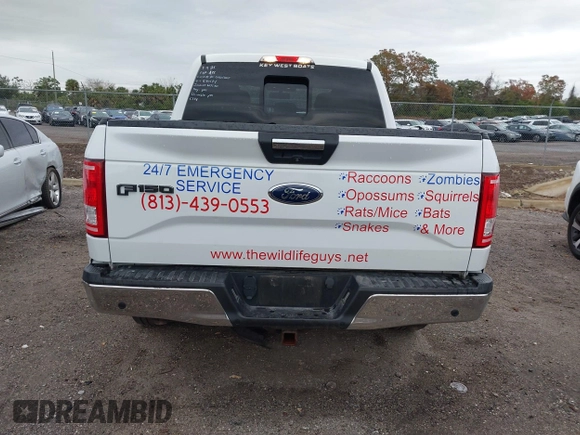 2017 Ford F-150 XL with VIN 1FTEW1EP6HFB40594, listed as a IAAI auction lot 41309921 with 184,454 mi miles. Bid and sale history available at carsss.com. Image 16.