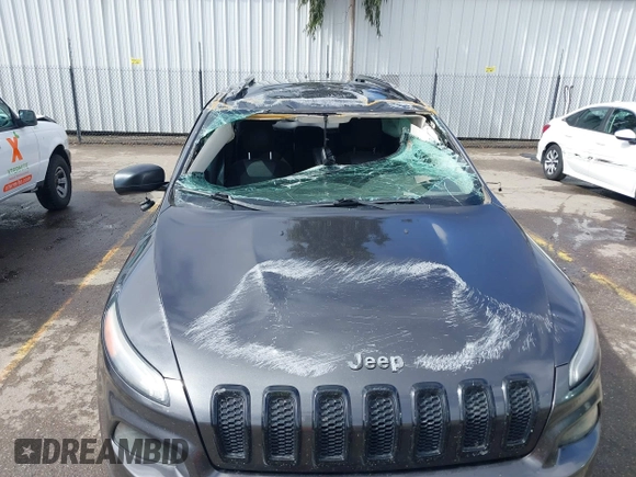 2017 Jeep Cherokee Sport with VIN 1C4PJLAB8HW527354, listed as a IAAI auction lot 41578066 with 124,339 mi miles. Bid and sale history available at carsss.com. Image 6.