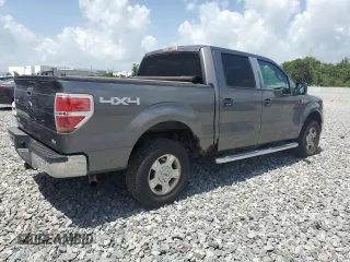 2010 Ford F-150 XL with VIN 1FTFW1EV8AFC53407, listed as a Copart auction lot 60062675 with 164,740 mi miles and Clean title. Bid and sale history available at DreamBid. Image 3.
