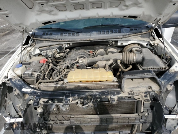 2019 Ford F-150 XL with VIN 1FTMF1CB8KKC86738, listed as a Copart auction lot 43762495 with 37,483 mi miles and Clean title. Bid and sale history available at DreamBid. Image 11.