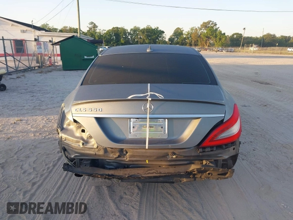 2013 Mercedes-Benz CLS-Class CLS 550 with VIN WDDLJ7DB7DA072530, listed as a IAAI auction lot 42065879 with 123,254 mi miles. Bid and sale history available at carsss.com. Image 16.