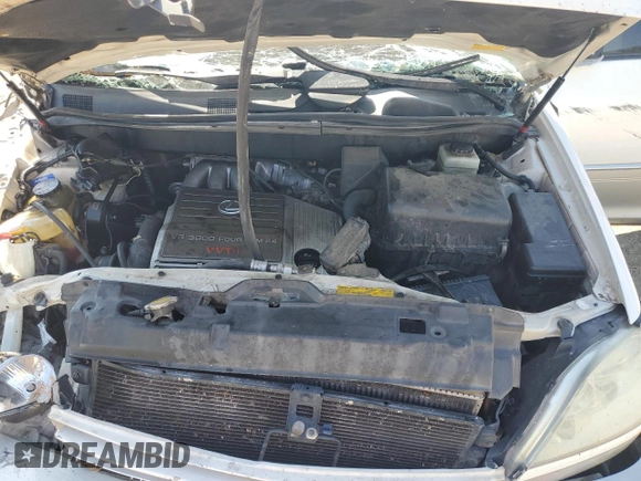 2001 Lexus RX 300 with VIN JTJGF10U910098773, listed as a Copart auction lot 75942804 with 207,210 mi miles and Salvage Title. Bid and sale history available at carsss.com. Image 12.