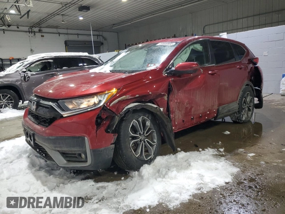 2022 Honda CR-V EX with VIN 2HKRW2H59NH667306, listed as a Copart auction lot 44600885 with 31,646 mi miles and Salvage Title. Bid and sale history available at carsss.com. Image 1.
