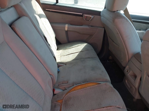 2009 Hyundai Santa Fe GLS with VIN 5NMSG13D99H256658, listed as a IAAI auction lot 42069839 with 256,048 mi miles. Bid and sale history available at carsss.com. Image 8.