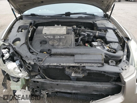 2006 Nissan Maxima 3.5 SL with VIN 1N4BA41E96C800624, listed as a Copart auction lot 48940255 with 0 mi miles and Salvage Title. Bid and sale history available at carsss.com. Image 11.