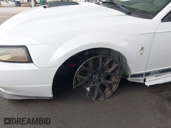 2003 Ford Mustang Premium Mach 1 with VIN 1FAFP42R73F437171, listed as a IAAI auction lot 42489353 with Not provided miles and . Bid and sale history available at DreamBid. Image 6.
