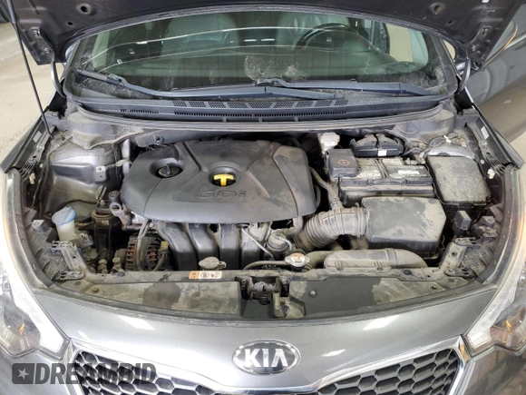 2014 Kia Forte EX with VIN KNAFZ4A81E5103141, listed as a Copart auction lot 49748045 with 0 mi miles and Non Repairable. Bid and sale history available at carsss.com. Image 13.