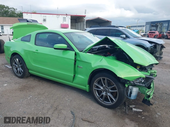 2014 Ford Mustang GT with VIN 1ZVBP8CF5E5308906, listed as a IAAI auction lot 42548581 with 51,075 mi miles and . Bid and sale history available at DreamBid. Image 1.