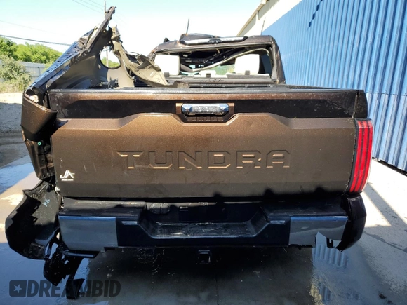 2022 Toyota Tundra 2WD 1794 Edition with VIN 5TFMA5AB0NX004561, listed as a Copart auction lot 49262374 with 49,660 mi miles and Non Repairable. Bid and sale history available at carsss.com. Image 6.