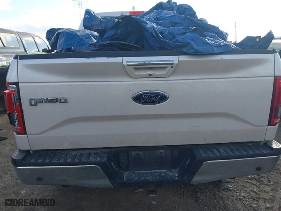 2017 Ford F-150 XL with VIN 1FTEW1EF9HKC16081, listed as a IAAI auction lot 41582496 with 180,005 mi miles. Bid and sale history available at carsss.com. Image 16.