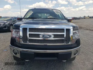 2009 Ford F-150 XL with VIN 1FTPW14V09FB25728, listed as a Copart auction lot 61993255 with 342,183 mi miles and Salvage title. Bid and sale history available at DreamBid. Image 5.
