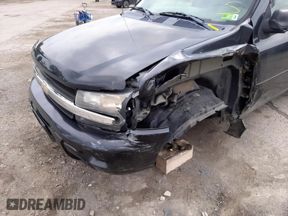 2006 Chevrolet TrailBlazer LS with VIN 1GNDT13S962203744, listed as a Copart auction lot 40953483 with 235,276 mi miles and Salvage Title. Bid and sale history available at DreamBid. Image 9.