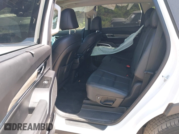 2020 Kia Telluride EX with VIN 5XYP34HC5LG008668, listed as a IAAI auction lot 42063077 with 59,480 mi miles and . Bid and sale history available at DreamBid. Image 8.