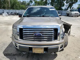 2011 Ford F-150 XL with VIN 1FTEX1EM8BFD20153, listed as a Copart auction lot 60405365 with 239,383 mi miles and Salvage title. Bid and sale history available at DreamBid. Image 5.