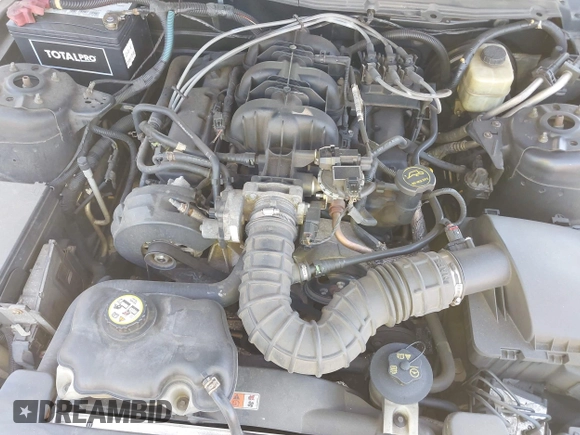 2005 Ford Mustang Deluxe with VIN 1ZVFT80N255111782, listed as a IAAI auction lot 42145903 with 243,853 mi miles. Bid and sale history available at carsss.com. Image 10.