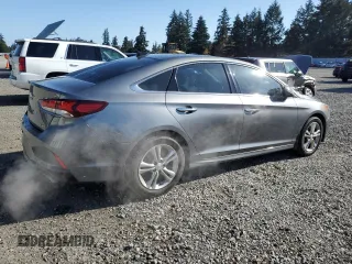 2019 Hyundai Sonata SEL with VIN 5NPE34AF5KH808518, listed as a Copart auction lot 53586045 with 91,307 mi miles and Salvage Title. Bid and sale history available at DreamBid. Image 3.