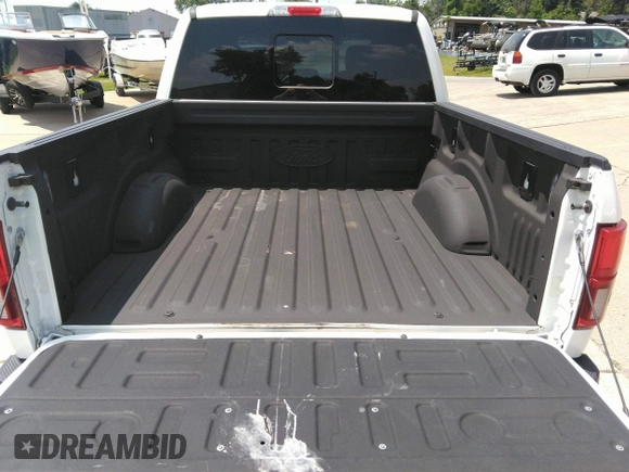 2020 Ford F-150 XL with VIN 1FTEW1E57LFA45632, listed as a IAAI auction lot 42428878 with 47,028 mi miles and . Bid and sale history available at DreamBid. Image 17.